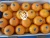 Import Fresh Mandarin from Egypt