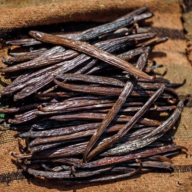 Buy Vanilla Bean Farm from Nalubaale Vanilla, USA