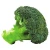 Import Broccoli Extract from China