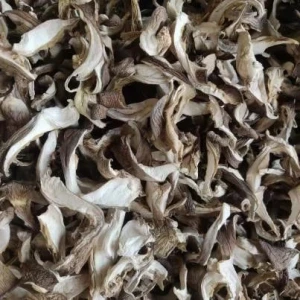 Dried oyster mushroom