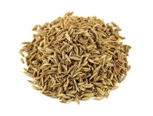 Organic Cumin Seeds