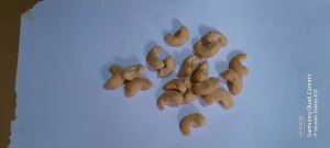 Scorched White Cashew Nuts / Kaju 2 Pieces / Splits