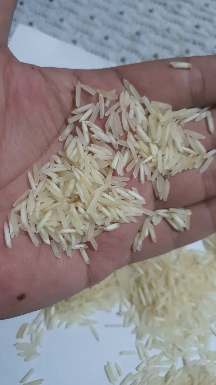 Usman Rice Buy Premium Sella Rice from Usman Enterprises, Pakistan | Tradewheel.com