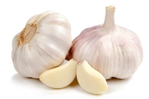 Naturally Cultivated Fresh Garlic – Ready for Global Shipment