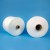 Import 100% polyester ring spun yarn 30/1 raw white from China