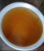 Palm Kernel Oil