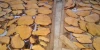 Dried yellow konjac chips