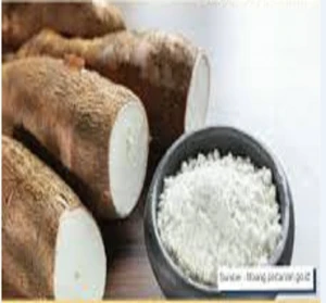 Wheat Flour Cassava ( Tapioca ) - HS Code 116.20.10