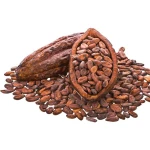 Hot Sale - Cocoa Bean - Brown cacao bean- Cocoa Bean - Big Sale for Cacao Powder at Cheap Price