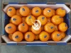 Fresh Mandarin