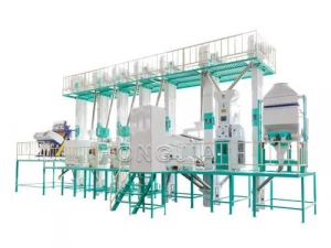 40T/D Rice Mill Plant