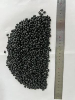 Black Beans from Republic of Moldova