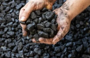 Indonesian Coal