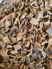 杜仲 | Eucommia Bark (Duzhong)