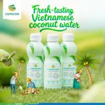 FRESH COCONUT WATER FROM VIET NAM