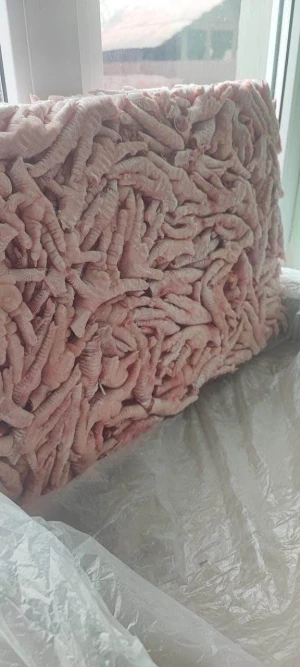 Chicken paws and feet for export