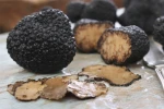 Fresh Tennessee Truffles bulk supply