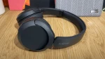 Earphones