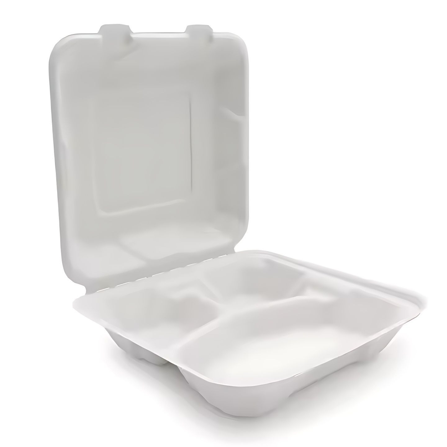 Buy 1000ml 8-inch 3-compartment Biodegradable Bagasse Takeaway Food ...