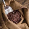 Premium Natural Dried Cocoa Beans