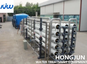 2000 LPH Single Stage Purified Water Treatment Plant , RO / EDI Water Filter Plant Machine