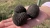 Import Fresh Tennessee Truffles bulk supply from South Africa