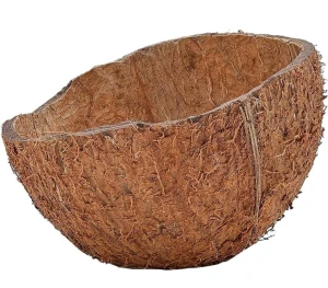 Coconut Shell