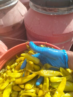 Whole Pickled Macedonian Pepper