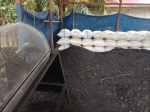 coconut shell charcoal