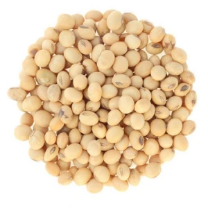 High-Quality Yellow Soybeans – Food & Feed Grade Available