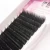 Import Novice round hair grafted eyelashes 0.07 thick planting grafted false eyelashes 8-13mm from China