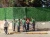 Import Eco Friendly Grass Fence Panels for Outdoor Landscaping from Republic of Türkiye