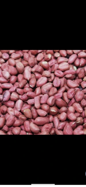 Peanut