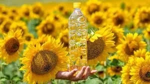 Sunflower Oil in best discounts