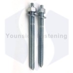 OEM DIN Standard Galvanized Carbon Steel Screw Chemical Anchor with Hex Nut