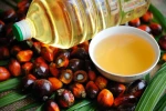 Good Palm oil for sale