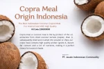 Copra Meal