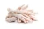 Import frozen chicken paw feet breast gizard wings drumsticks for sale from Cameroon