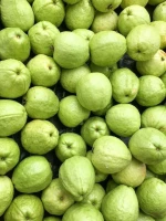 Fresh Guava