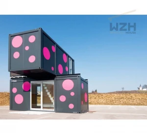 China 20ft flat pack container house/prefab container house/living container house