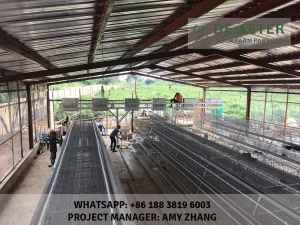 layer chicken cage system for sale in Accra Ghana