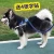 Import DOG TRACTION ROPE VEST TYPE from China