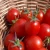 Import 100% Tomatoes/ Fresh Beef Tomato, Fresh Plum Tomatoes from Germany