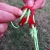 Import 10pcs Quick Knot Tent Wind Rope Buckle 3 hole Antislip Camping Hiking Tightening Hook Wind Rope Buckles from China