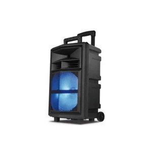 Buy 12 Inch Portable Subwoofer Speaker Trolley Sound Speaker Box ...