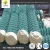 Import 1.2mm-5mm chain link mesh used for feeding poultry/chain link making machine net from China
