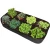 Import 135gallon 8holes black Grow Bags Breathable Felt Fabric Planter Pot Fabric Raised Garden Bed from China
