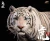 Import 1/6 Bengal Tiger Resin Craft Home Decoration from China