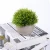 Import 2 Pack Small Artificial Potted Plants, Mini Green Plants with Gray Pots for Home Decor from China