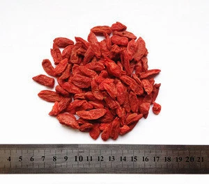 High Quality Dried Goji Berry Polysaccharides